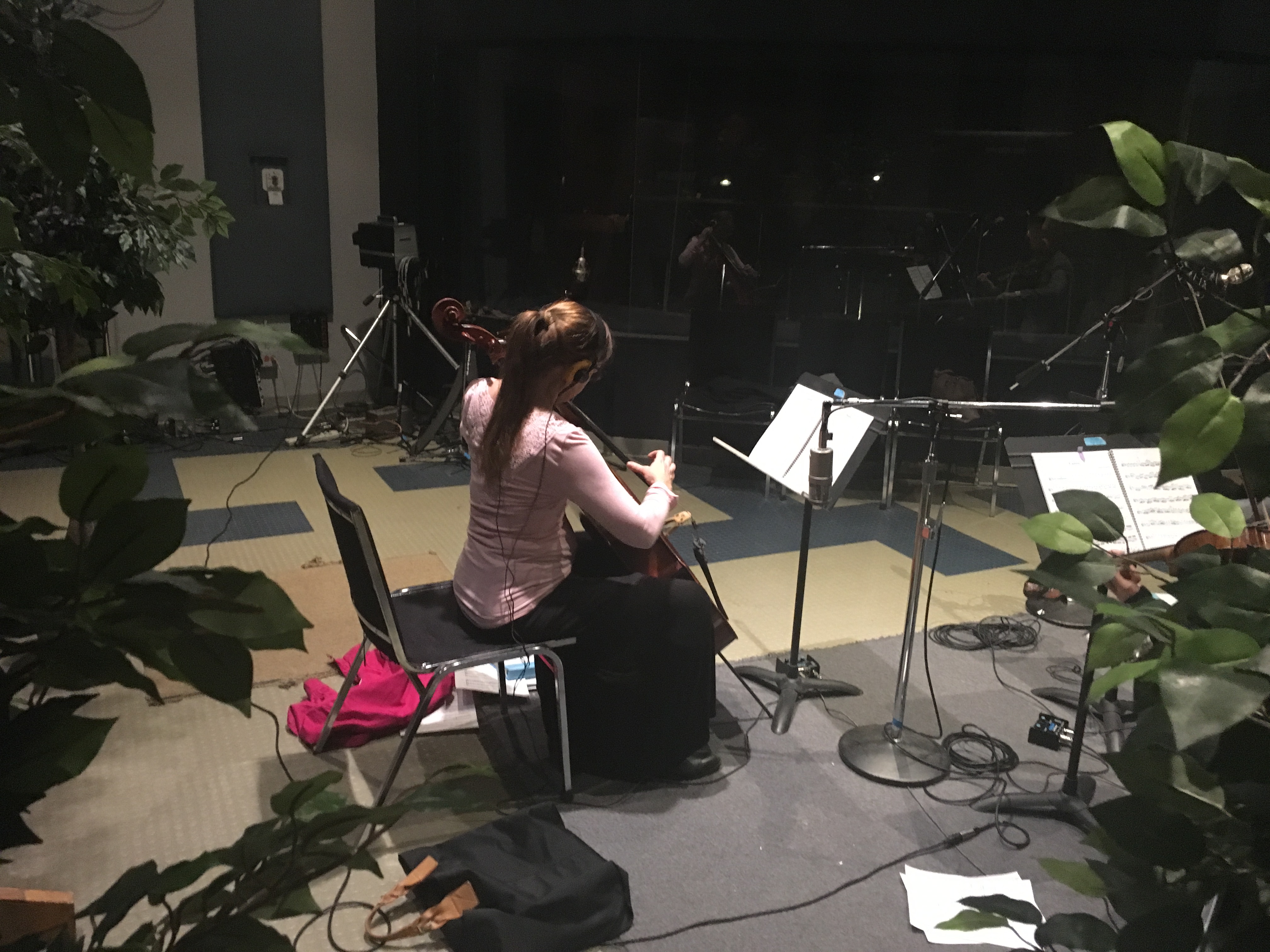 Denver String Trio for Weddings